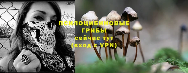 метадон Абаза