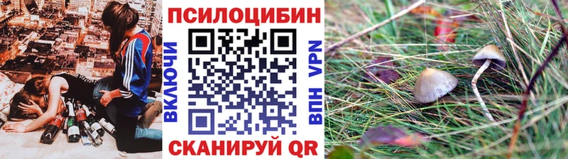 Галлюциногенные грибы прущие грибы  Ужур 